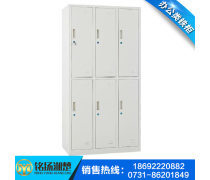 湖南衣柜产品库深度解析 第9页存包柜选购指南